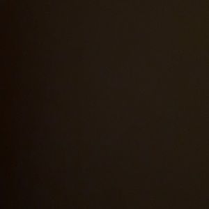 Meet your Posher, Griffin